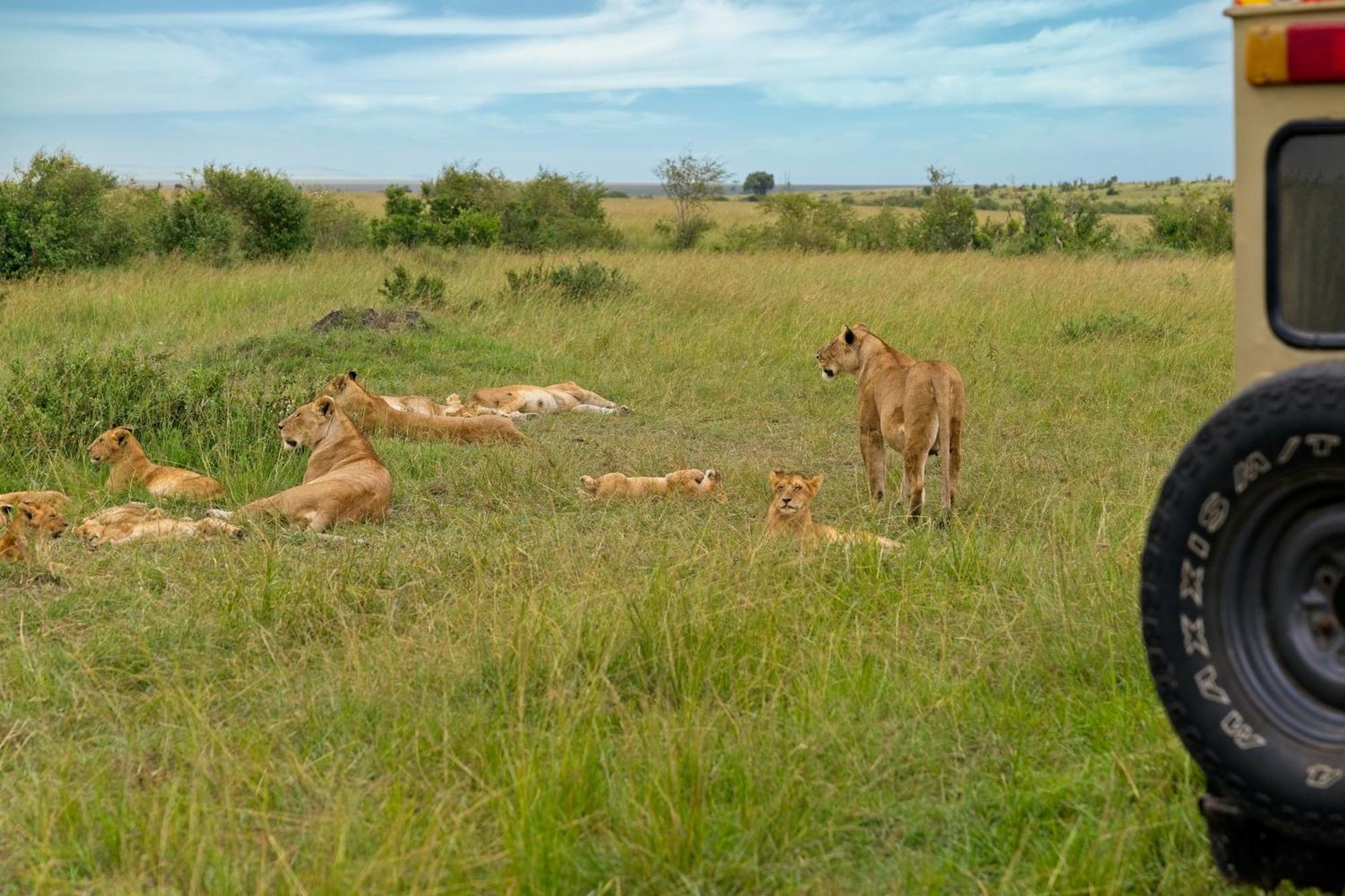 Muthu Keekorok Lodge, Maasai Mara, Narok Exterior photo